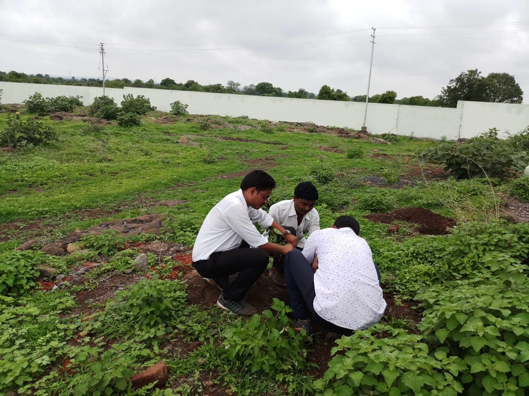 Tree Plantation Drive
